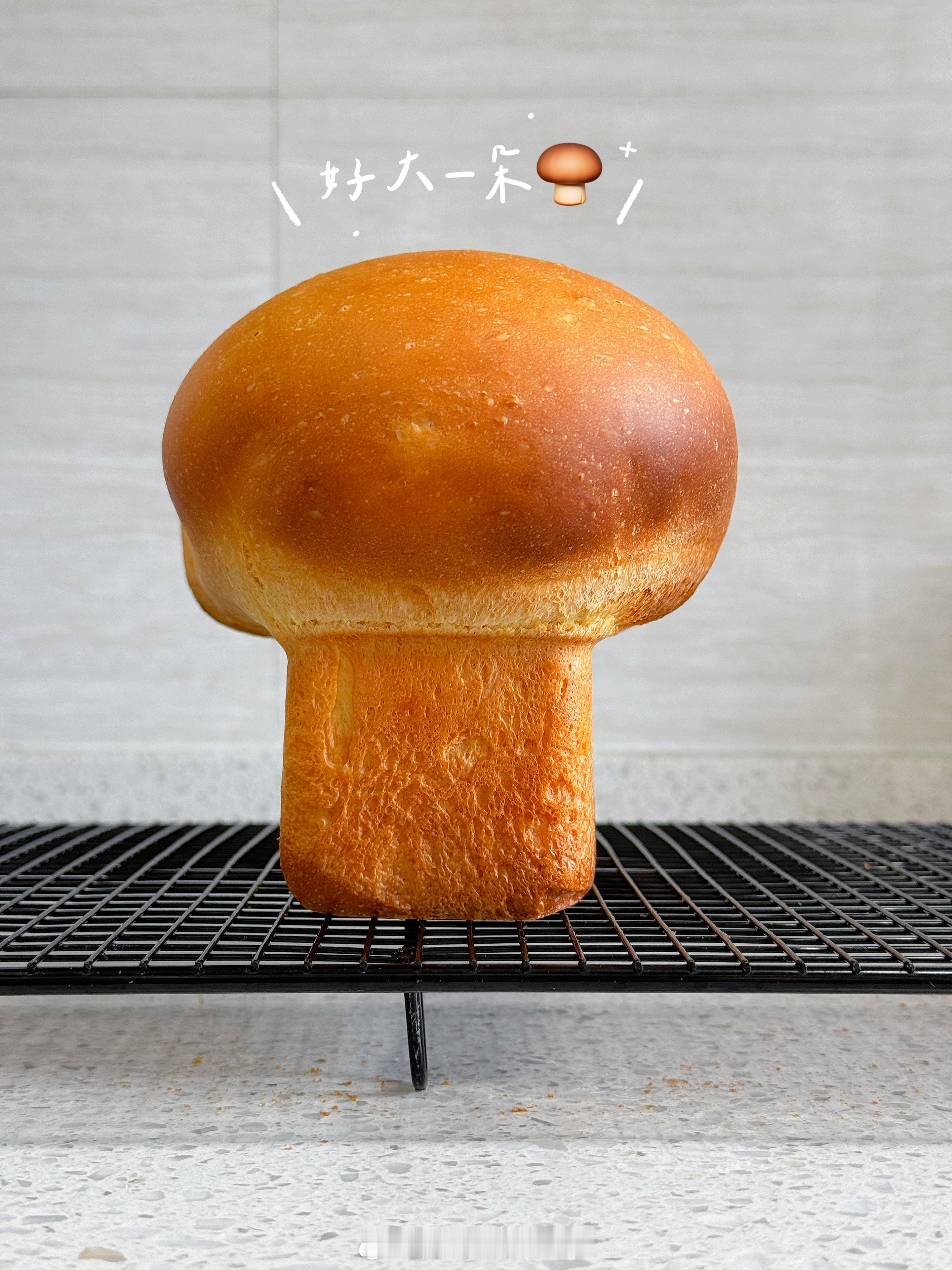 🍄‍🟫豆米说：“好大一朵蘑菇啊！”我的美食日记带娃日常我的宝藏食谱  ​​​