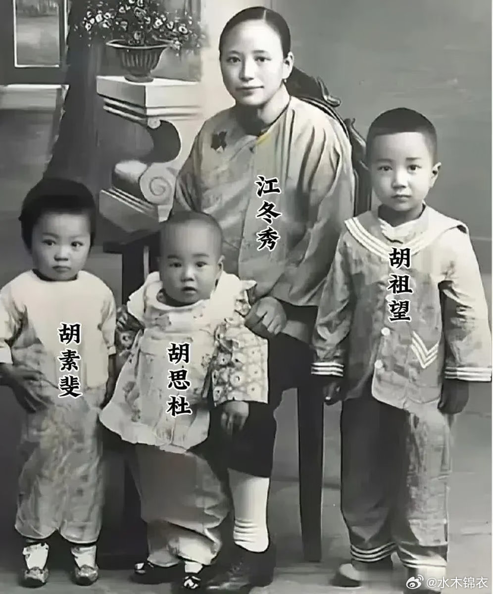 写下万字檄文《对我的父亲胡适的批判》，我父亲是“美帝国主义走狗”.... 他叫胡
