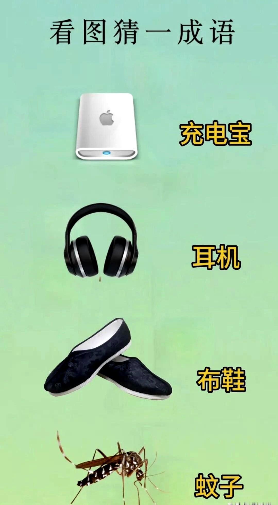 蚊子耳机充电宝，猜不出就白刷手机

一张图把充电宝、耳机、布鞋、蚊子排成队，让网