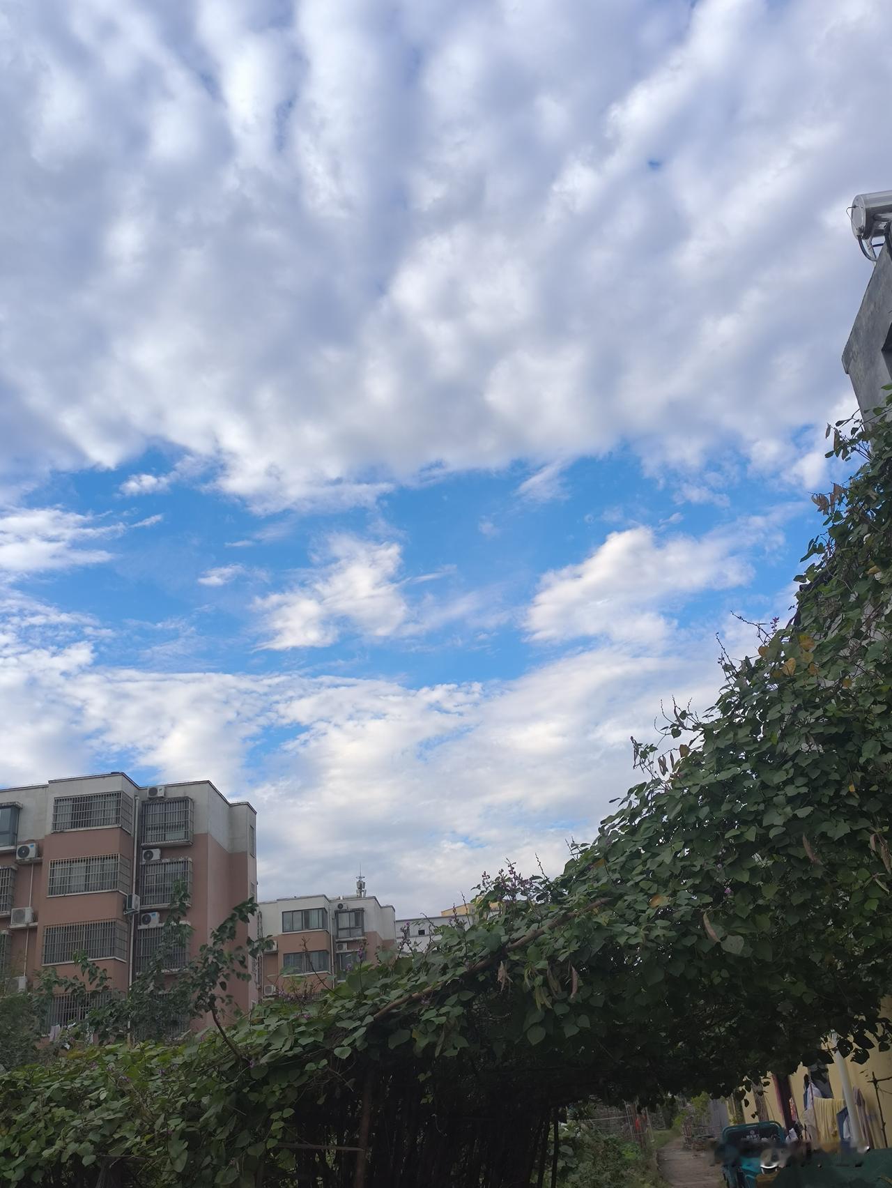 普通人家的孩子最好去当兵。我一个同事的孩子当了12年的兵，今年9月份转业回来了。