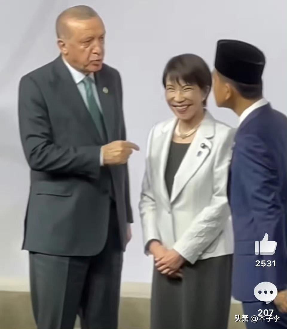 人家土耳其和印尼信一个教的俩国家在交流，她跟个微商蹭热度的毯星似的插进去给自己媒