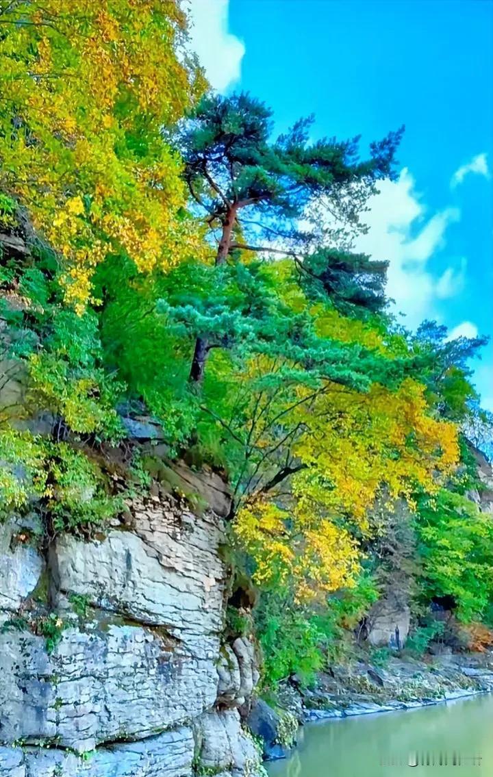 秋意渐浓，美景在眼前