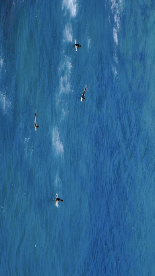 和你交换一张相册里的海边照片