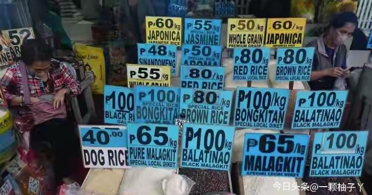 菲律宾国内大米价格一路飙升，民众生活压力剧增，政府无奈出台紧急措施，宣布对进口大