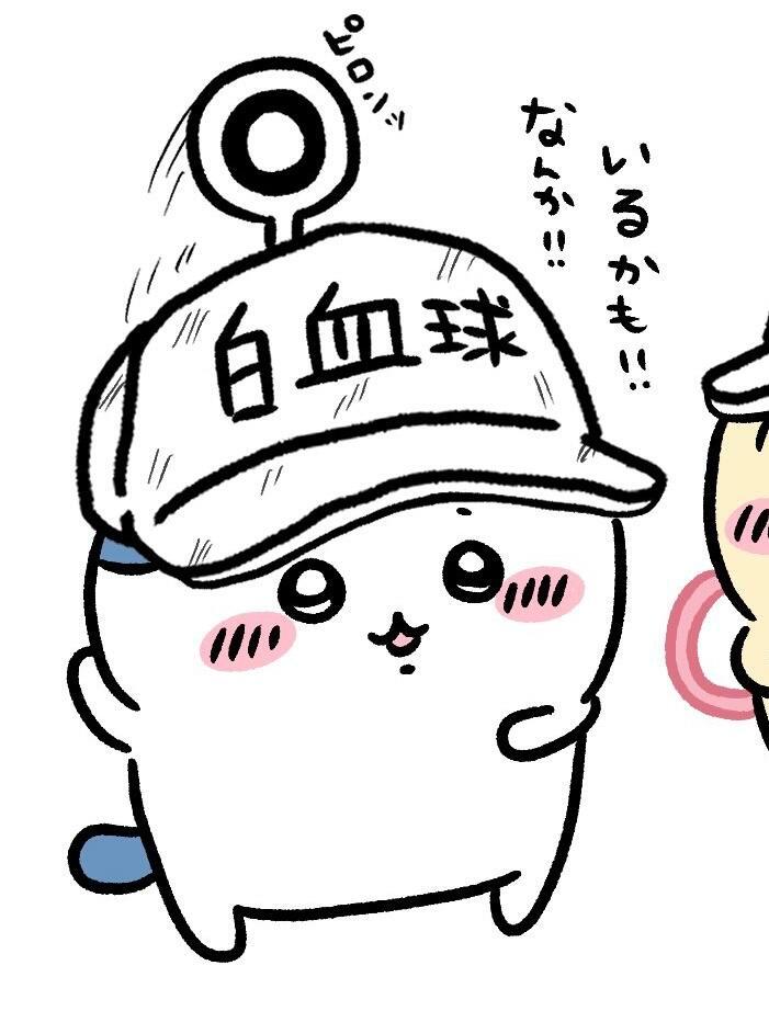 工作细胞但Chiikawa版 完全是宝宝中的宝宝 