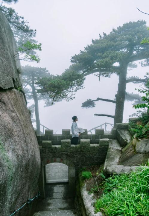 妈妈立下13条家规，孩子受益一生
亲爱的朋友们大家好，我是海林小百科，今天我们来