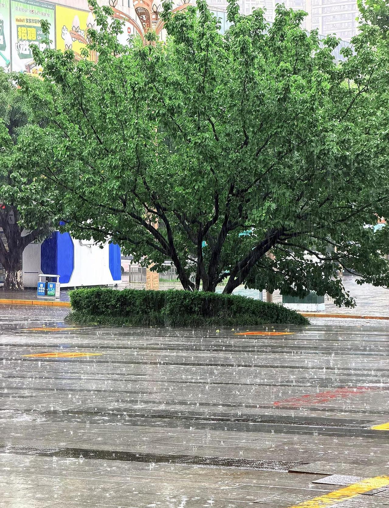 出趟门衣服裤儿打得焦湿！雨神又来重庆了～威力太大了🤨 重庆下雨了 大暴雨 下雨