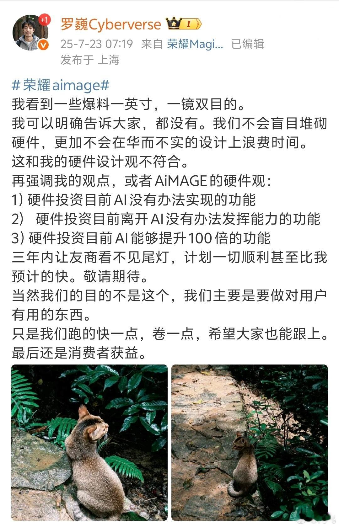 罗巍：荣耀不会上一英寸CMOS，不会上一镜双目，不盲目堆砌硬件，不在华而不实的设