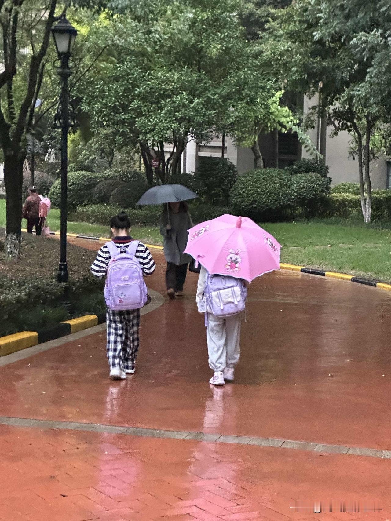 11月6日，一大早，重庆主城区，细雨绵绵，很多小学生挤公交车地铁上学，因为下雨，