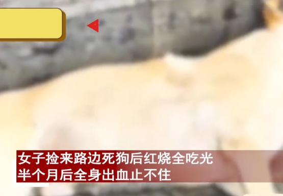 “嘴馋的代价！”浙江嘉兴，大妈捡来路边死狗，红烧全部吃光，半个月后全身出血止不住