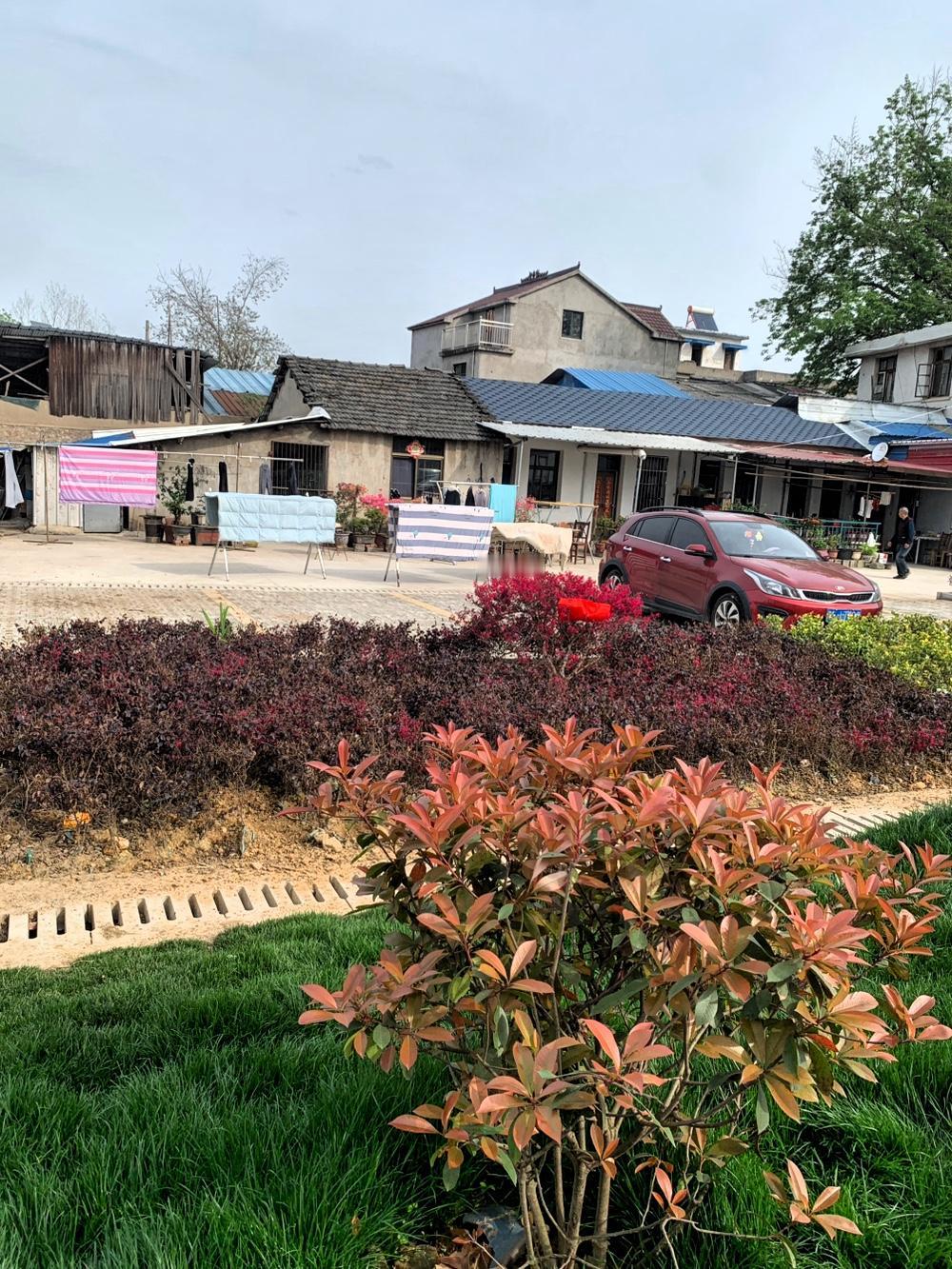 如今的人真是太现实了！
曾经，他为人十分直率，
几乎每次一同喝酒，
都是他主动买