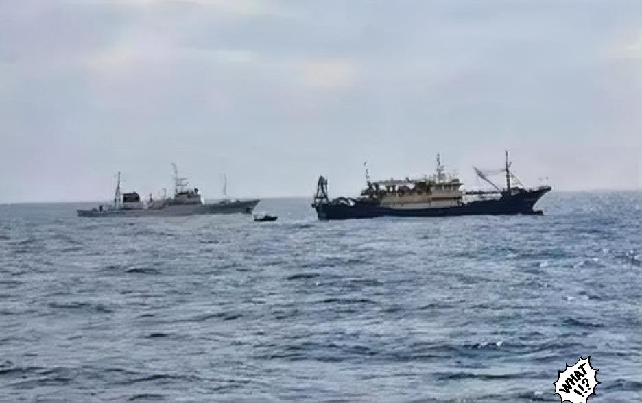 日本扣押我国渔船

据日本共同社2月13日报道，日本水产厅九州渔业调整事务所当天