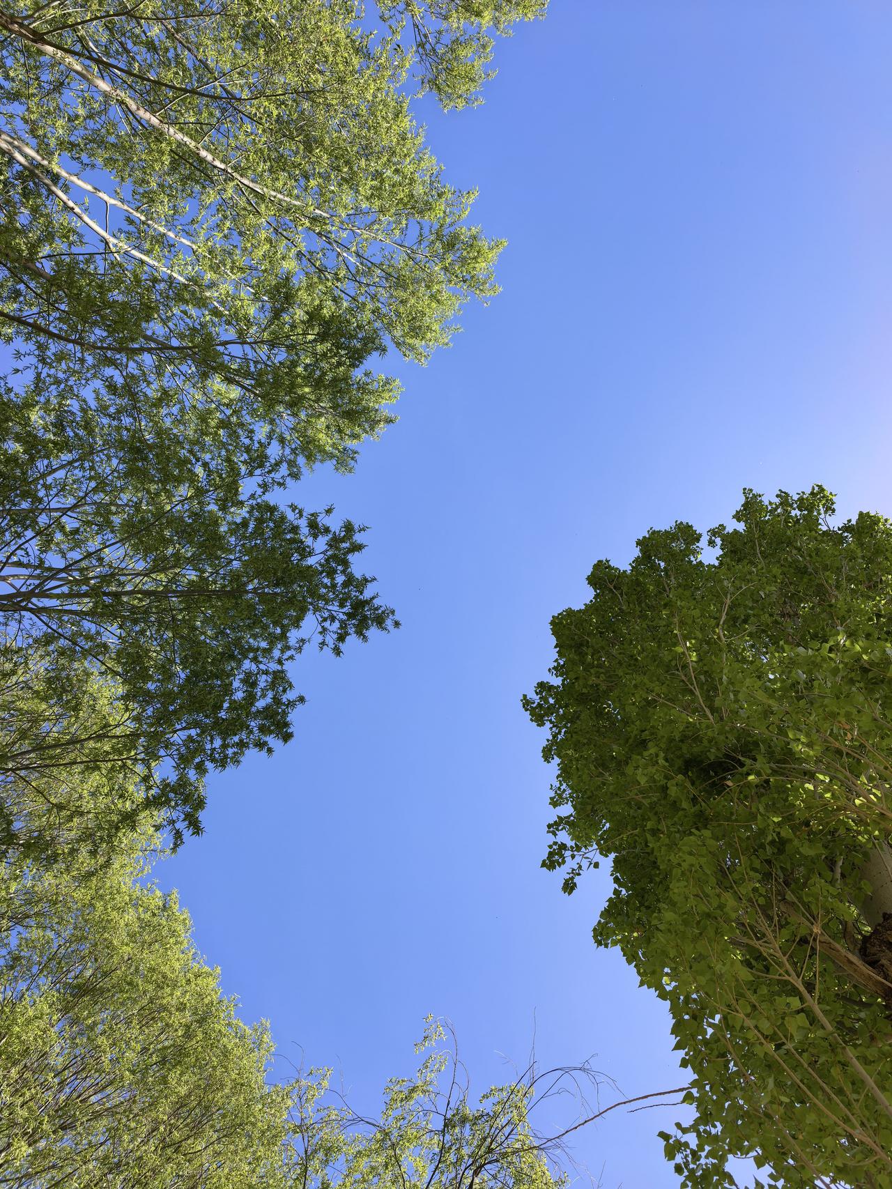 亨通光电A股本周走势分析及展望

一、本周（4月13日—17日）行情概览

亨通