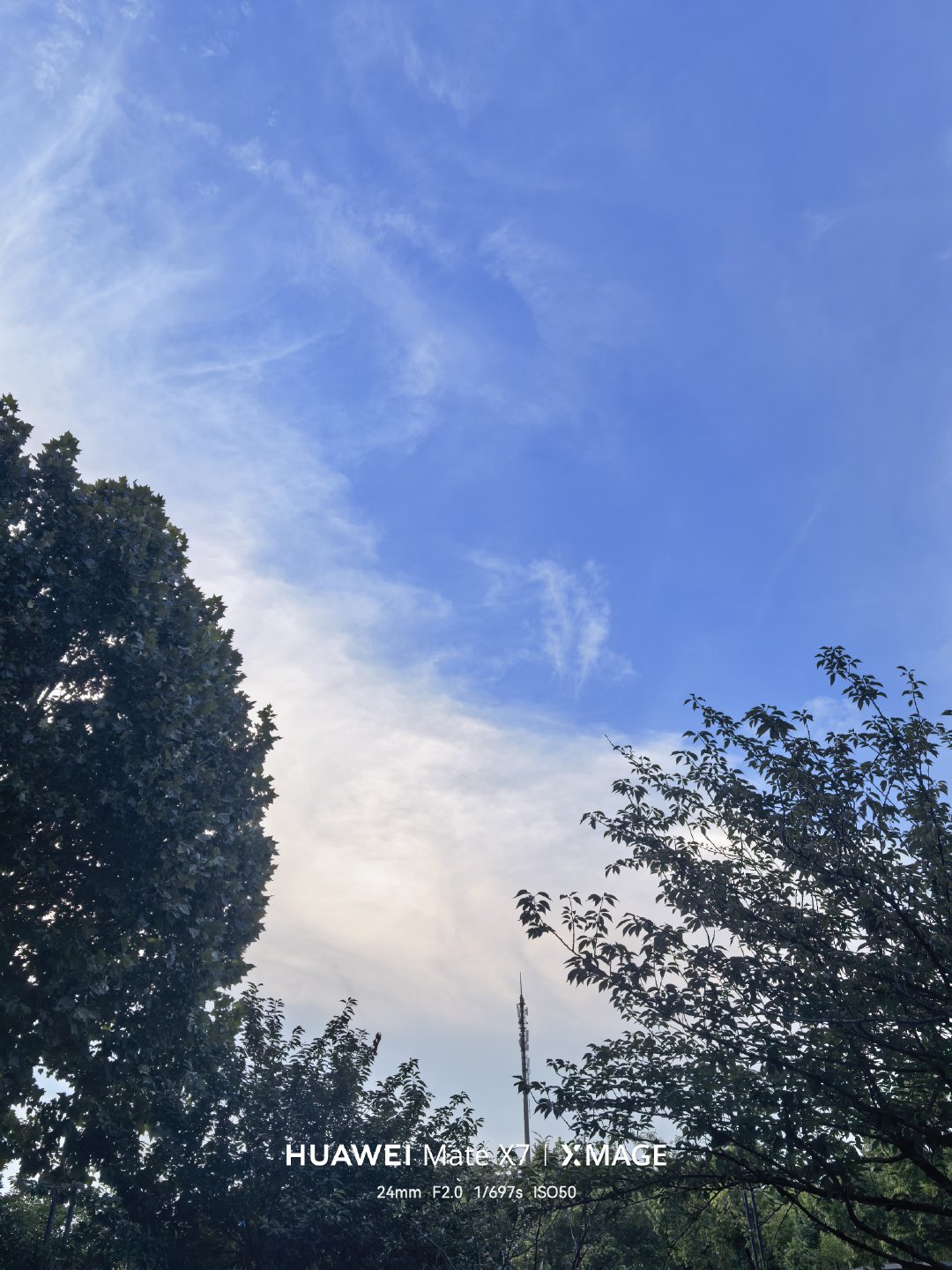 东阳身边事 早安，东阳🌞 