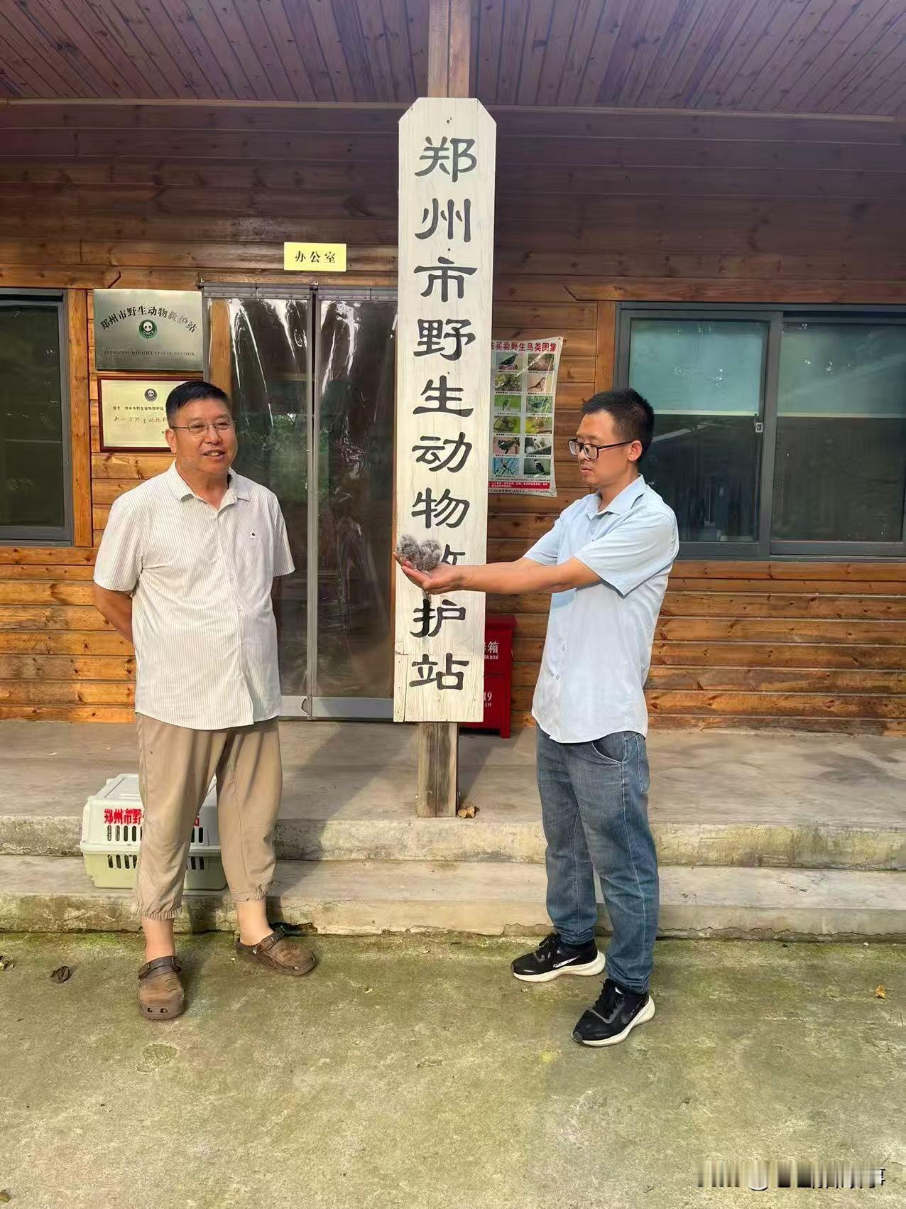 2026年7月21日下午，登封市林业局的工作人员，移交给郑州市野生动物救护站两只