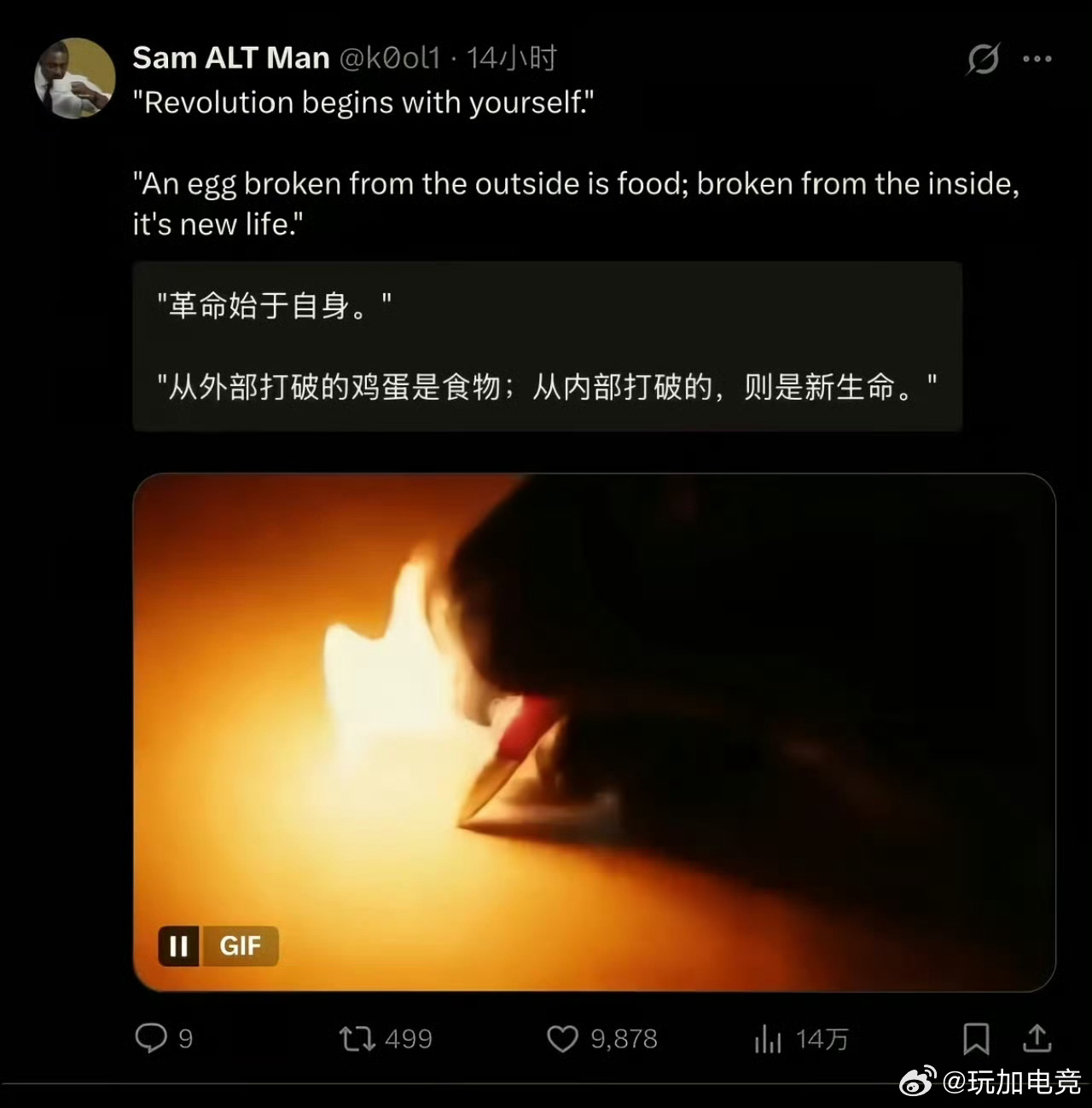 外国网友请求中国帮助网友回复爆火“鸡蛋从外面打破是食物，从内部打开是新生”不愧是