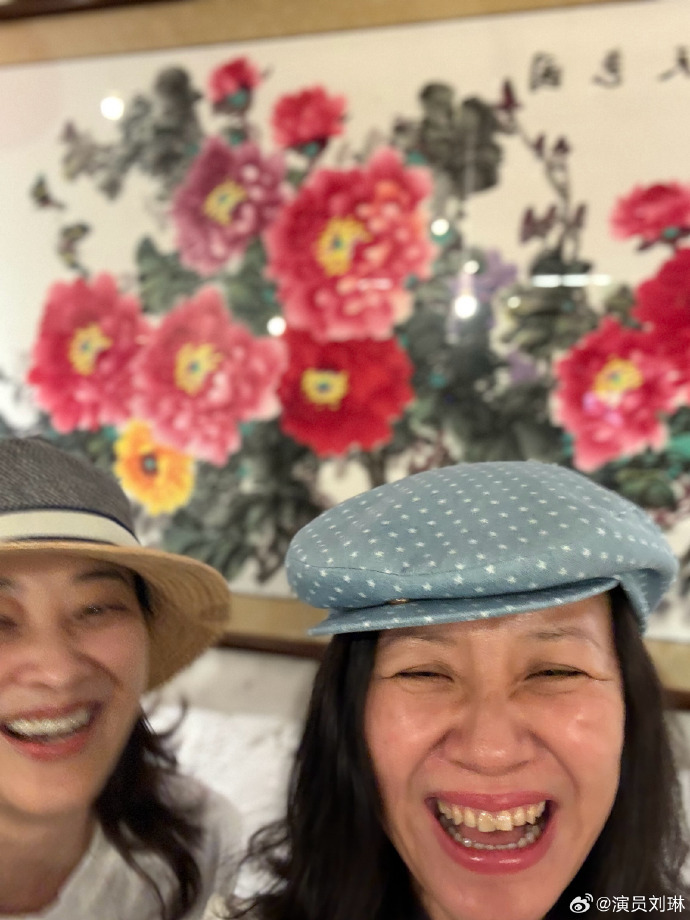 安杰德华线下约饭看电影 梅婷刘琳笑得毫无偶像包袱，梅婷刘琳一起过六一，安杰德华线