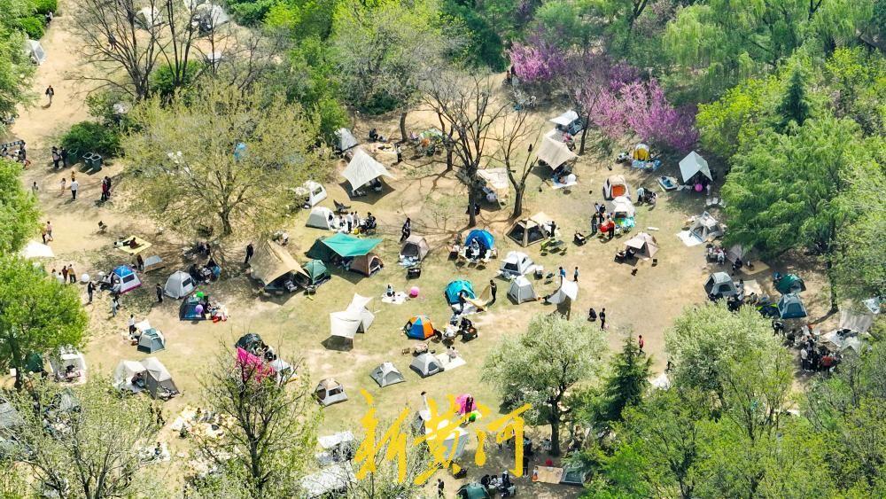 济南公园草地现“露营热” 扎上帐篷感受惬意假期-app/#/content?ca
