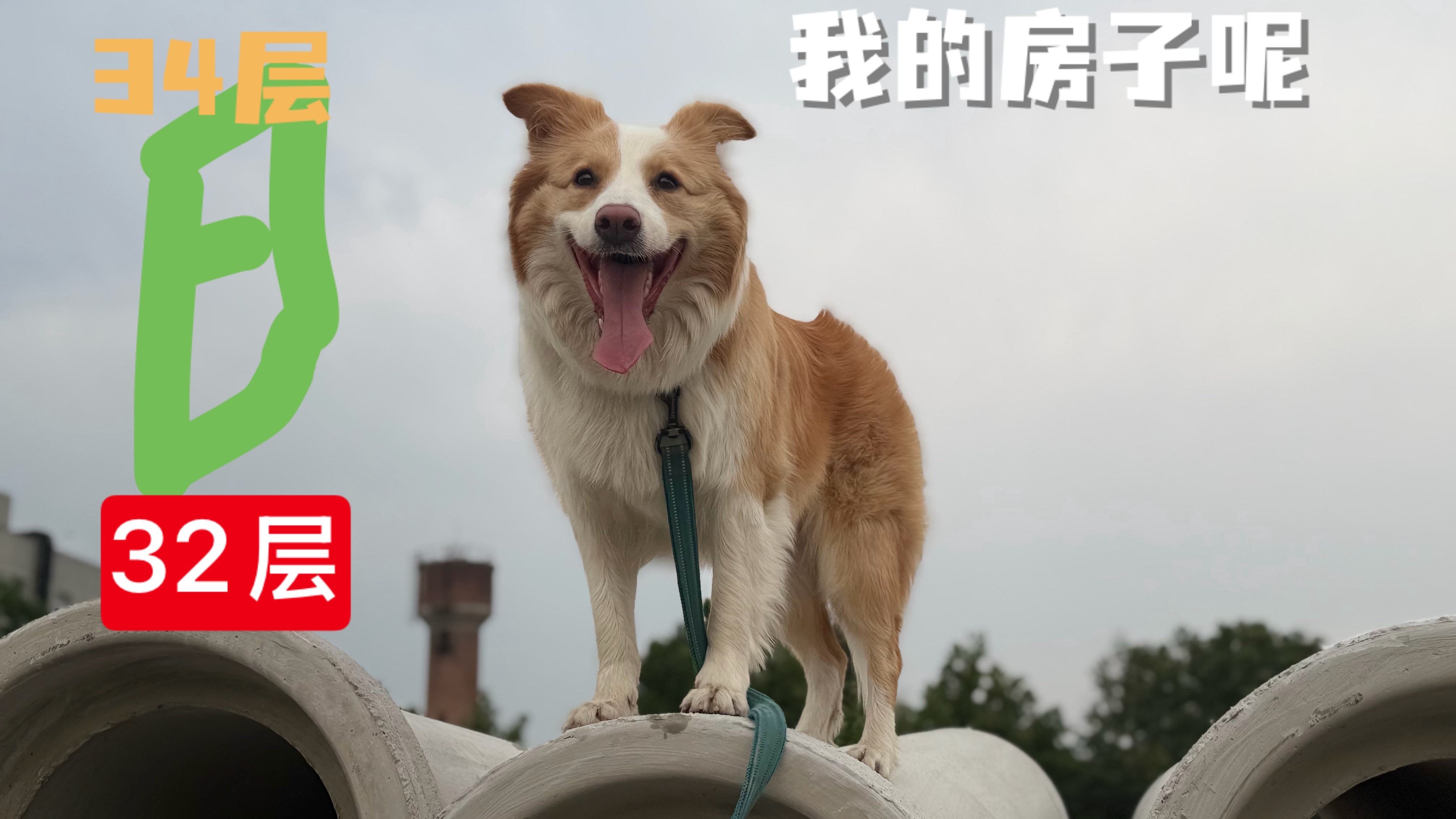男子买34层房收房得知只盖到32层世界大什么事都能发生，但这种事显然发生在房地产