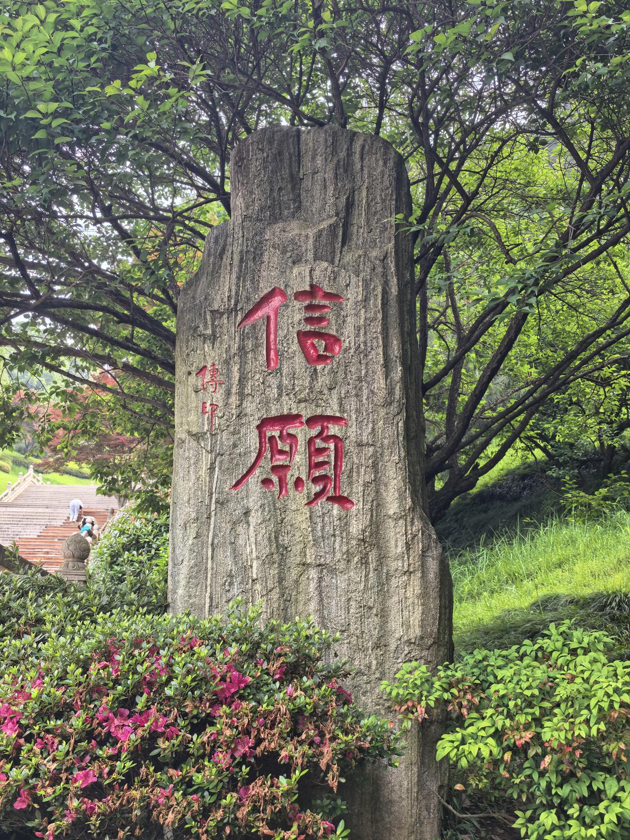 庐山东林大佛早拜

清晨薄雾初散，庐山东林大佛下已聚满四方信众。他们或合掌凝视4