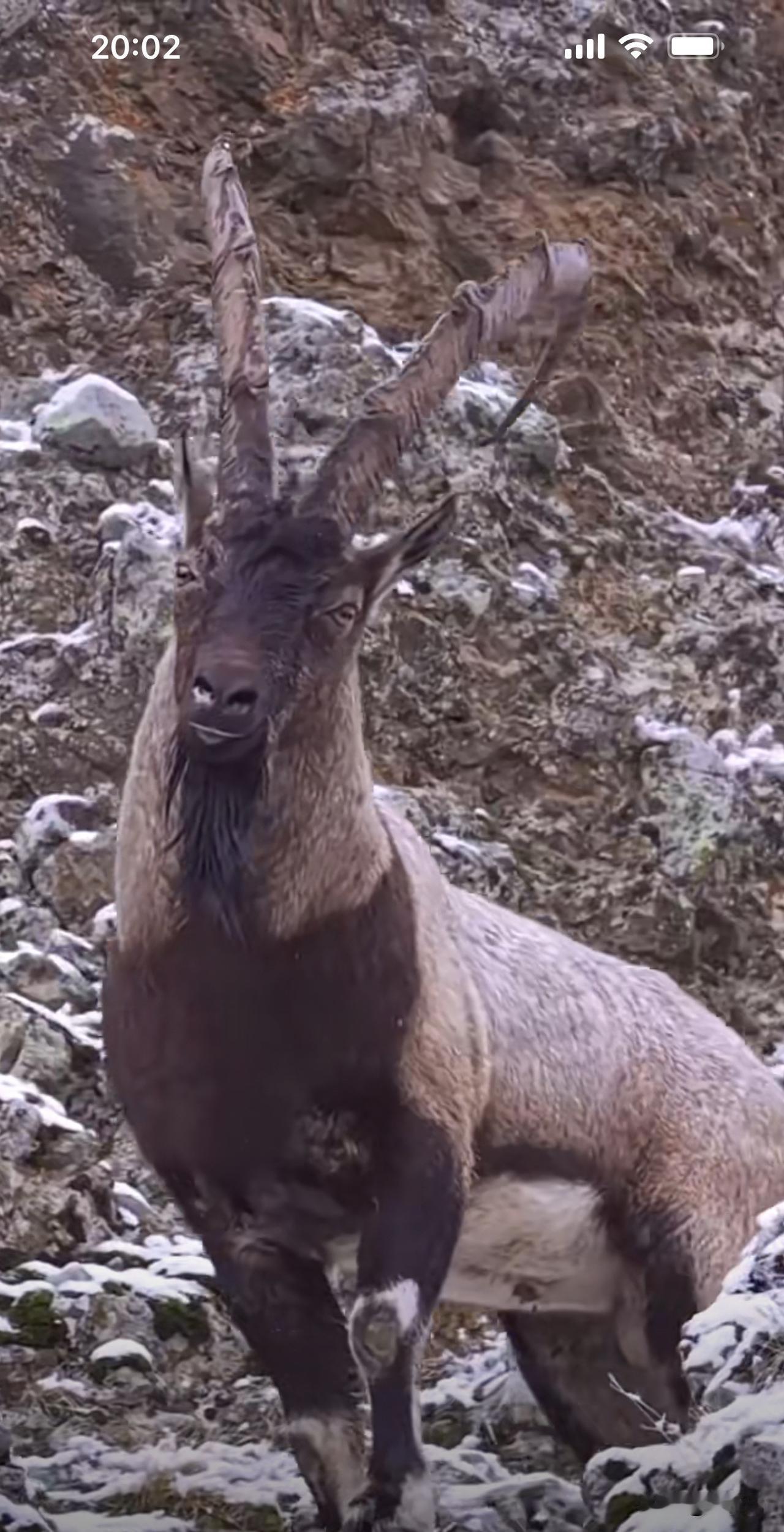早盘，13连阳上演逼空行情！
年初就把指数格调拉高了，
从统计学规律看今年沪指中