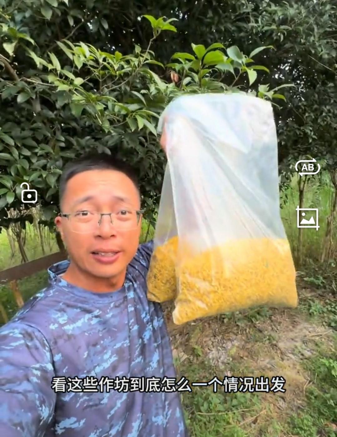 渔猎琪哥，这回又立功了！

刚刚睡醒，就看到他粉丝曝光的硫磺熏制桂花工厂，要求他