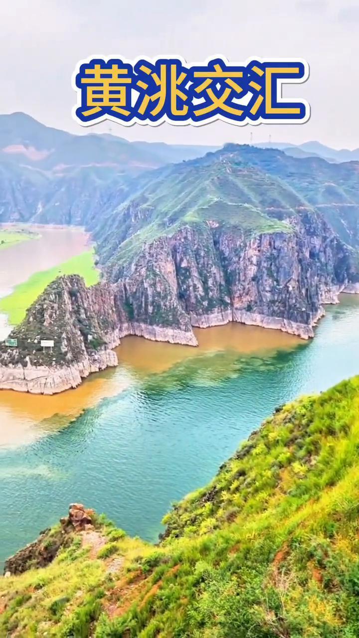 黄洮交汇。
现在大家看到的是位于刘家峡的黄洮交汇景观。大家能分得清哪一条河是黄河