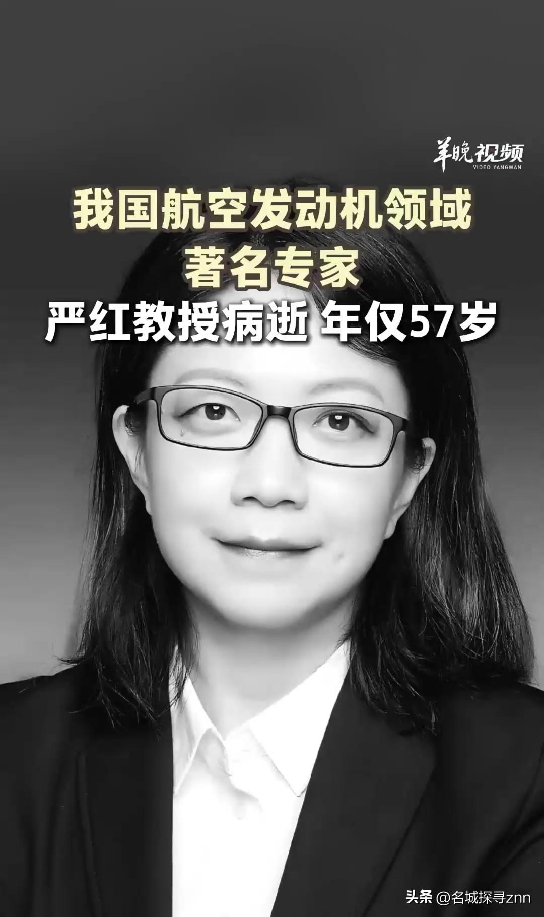 真的破防了，3月24日。当所有人都在为张雪峰沸腾时，西工大博导严红，死磕航空发动