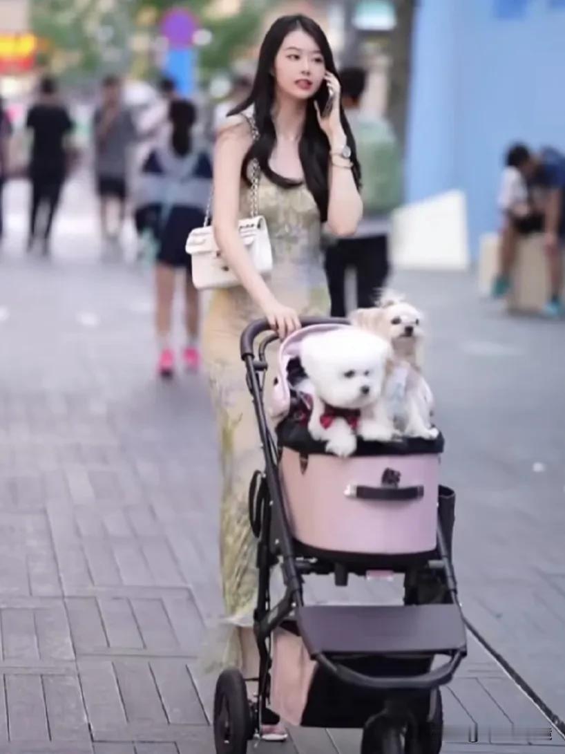 当年轻女人的婴儿车里推的是狗狗而不是婴儿的时候，人类繁衍面临了重大危机。
现在很
