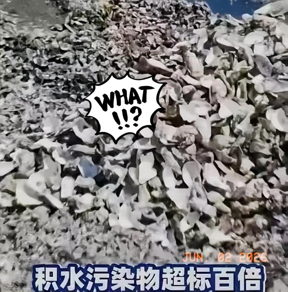 11万吨！中央督察组在广东潮州，挖出一堆“吃人的生蚝壳”！

6月2日，中央生态