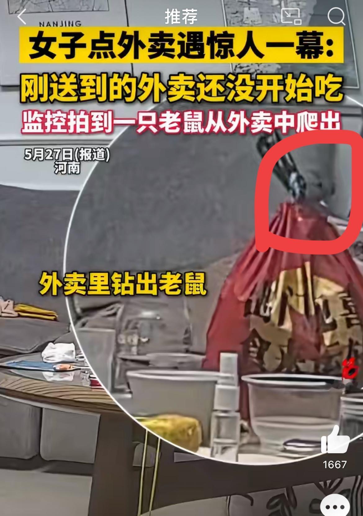 一个女子点外卖，饭还没吃呢，结果一只活老鼠直接从外卖袋子里爬出来了，监控拍得清清