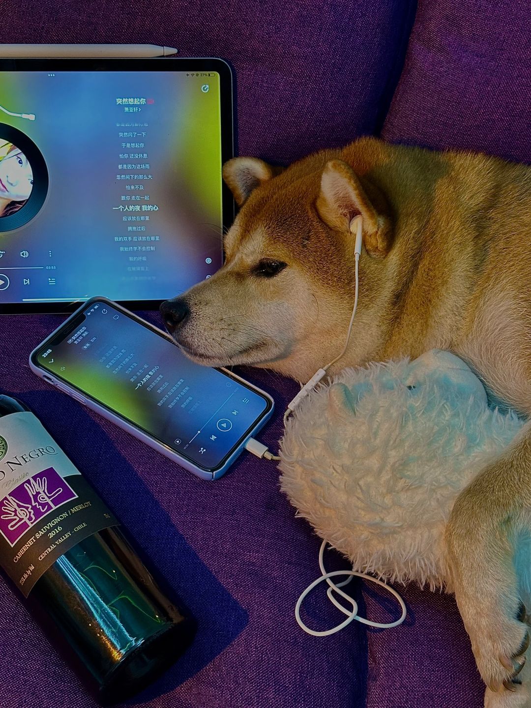 一个人的夜 我的心