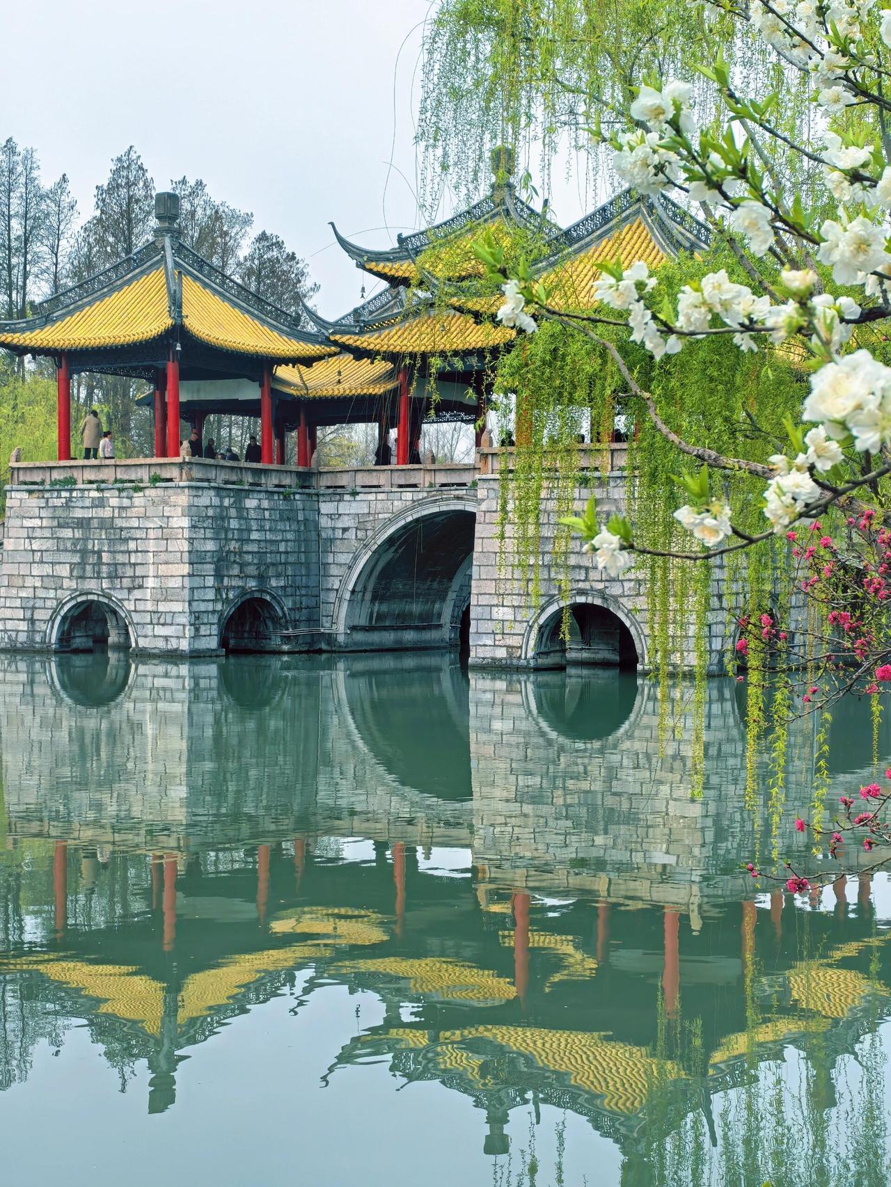 刚从扬州回来，这5件游玩攻略一定要记好！
1. 早茶不必执着网红店，排队两小时实