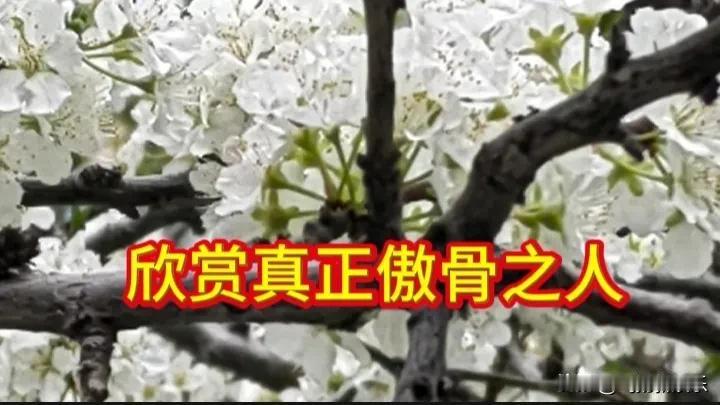 兰玉何许人也？既然拒绝为什么又曝光？

       今天无意刷到一则消息，内容