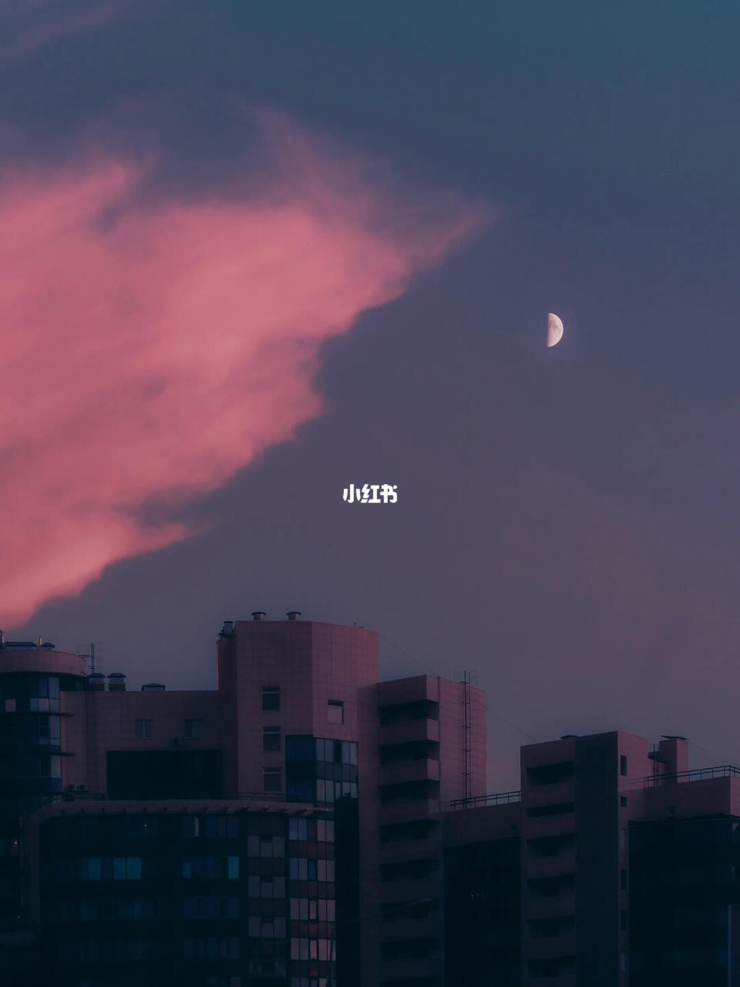 看看不加tag会推给哪些MBTI