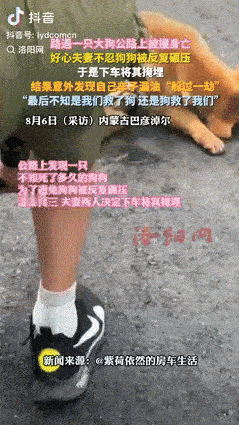 “彻底解释不清了！”内蒙古，一夫妻驾车在公路上行驶时，发现有只大狗被撞身亡，两人