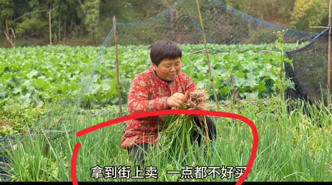 万万没想到
超妈想致富，靠的不是小超，不是超爸，而是勤劳的双手


救命！最近刷