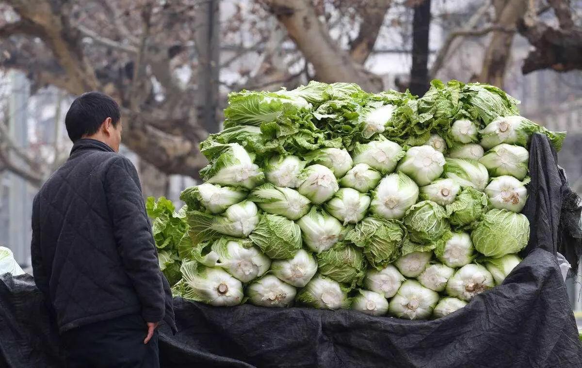 白菜喷甲醛保鲜这事，我来讲点行业的底层逻辑，其实这不是商家良不良心的问题，完全是