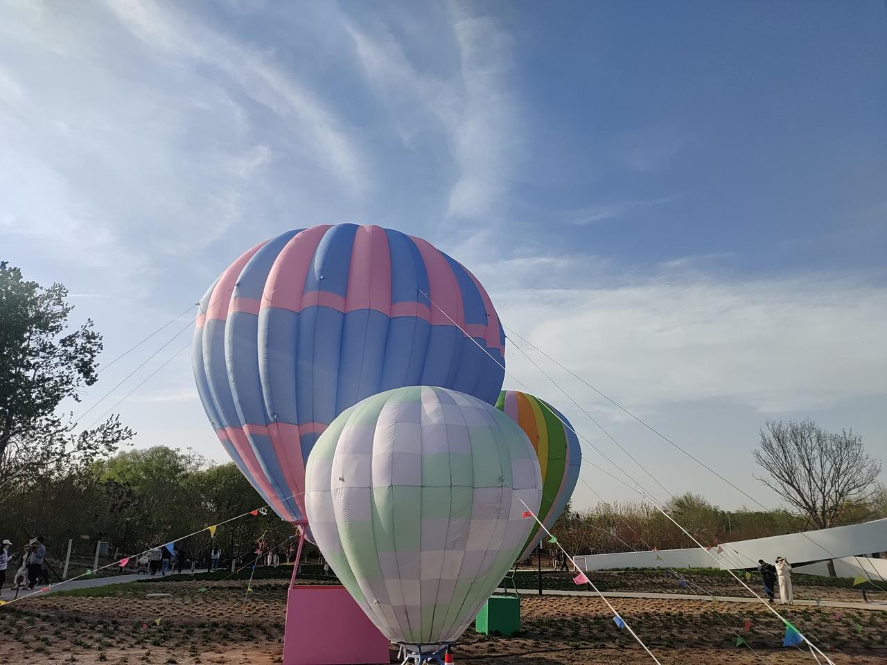 这几天经常去逛公园，看到一堆卡通式样的热气球，粉色、天蓝色、嫩绿色，相当漂亮，很