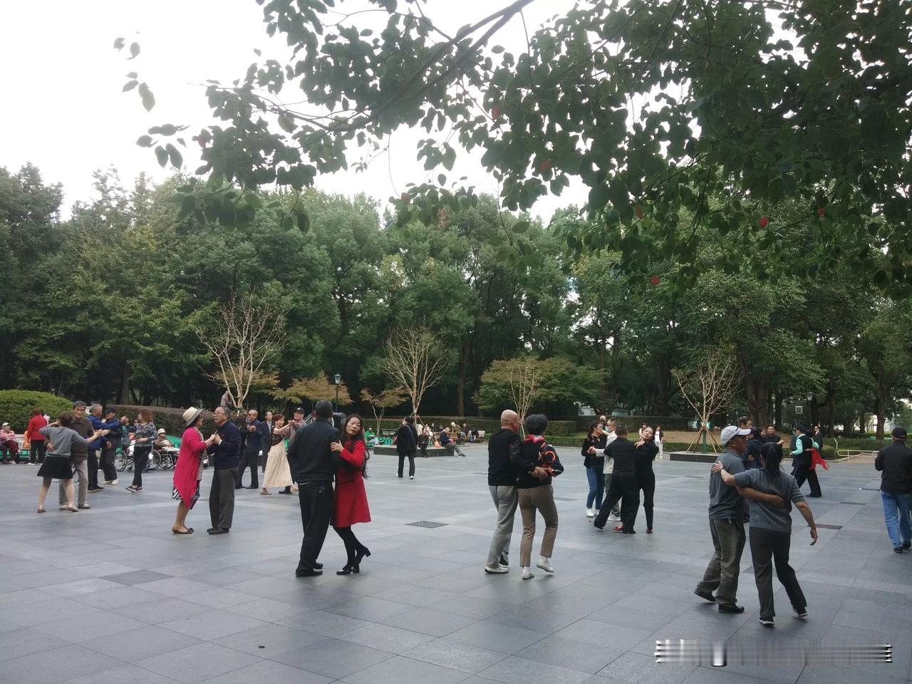 #公园美丽景随拍#上海中山公园花美、树美、人更美。在悠扬的歌曲声中，人们翩翩起舞