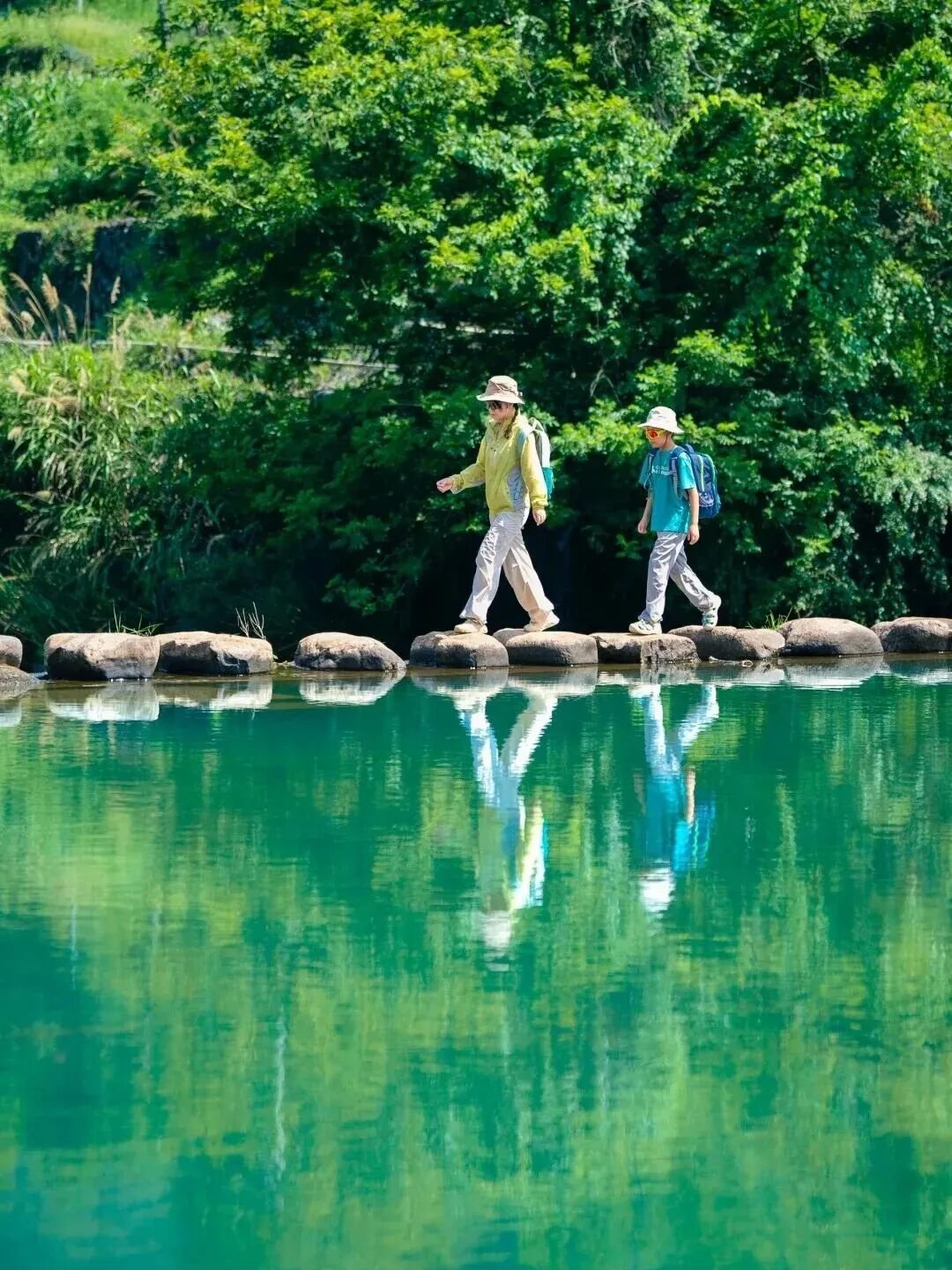 夏天就该往山里水里钻，凉快又舒心，才是正经事。 