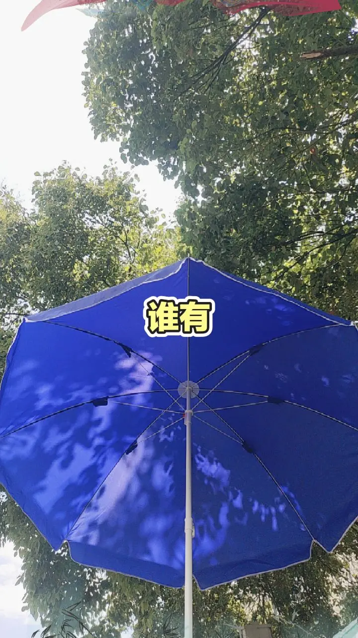每日分享。