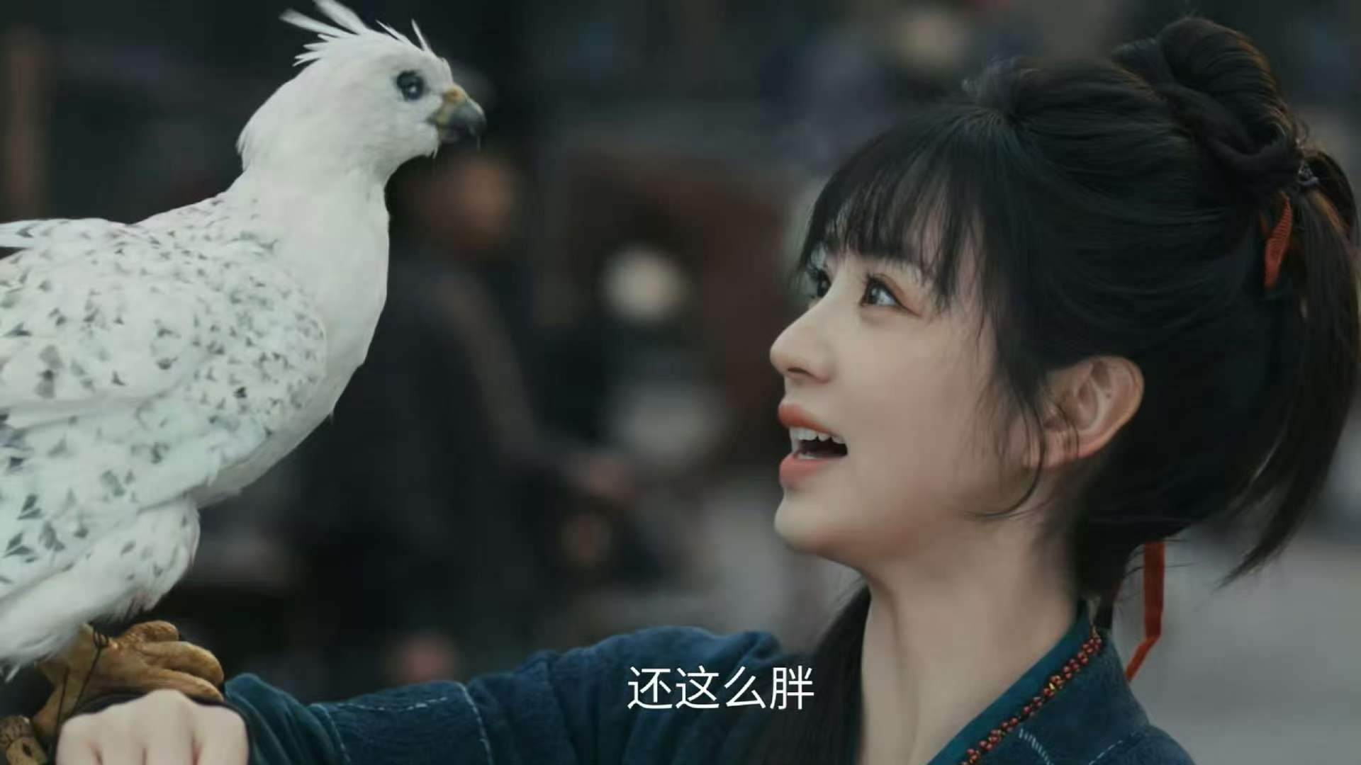 樊长玉恶语伤隼心 樊长玉恶语伤鸟心 樊长玉恶语伤鸟心💔 