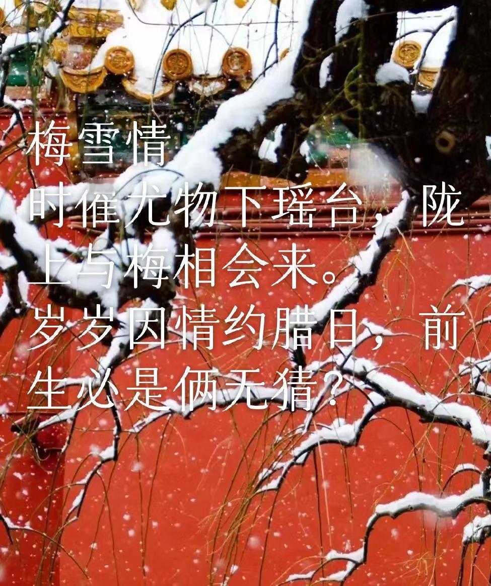 雪与梅
时催尤物下瑶台，陇上与梅相会来。
岁岁因情约腊日，前生必是俩无猜？