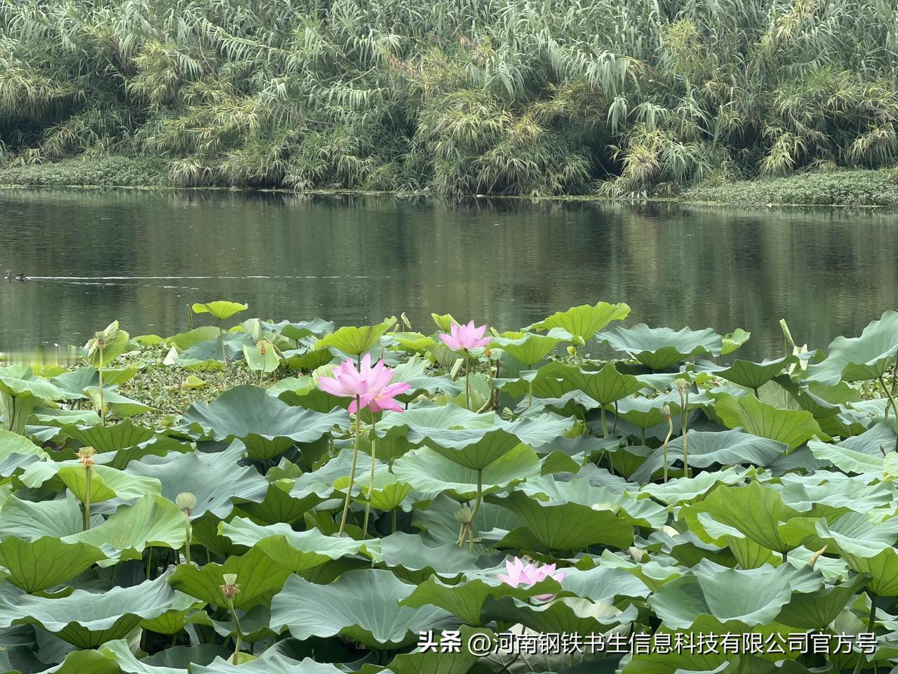 钢铁书生交易分享：

交易真正的安全感来看哪里？以下三点很重要

1、用闲钱交易