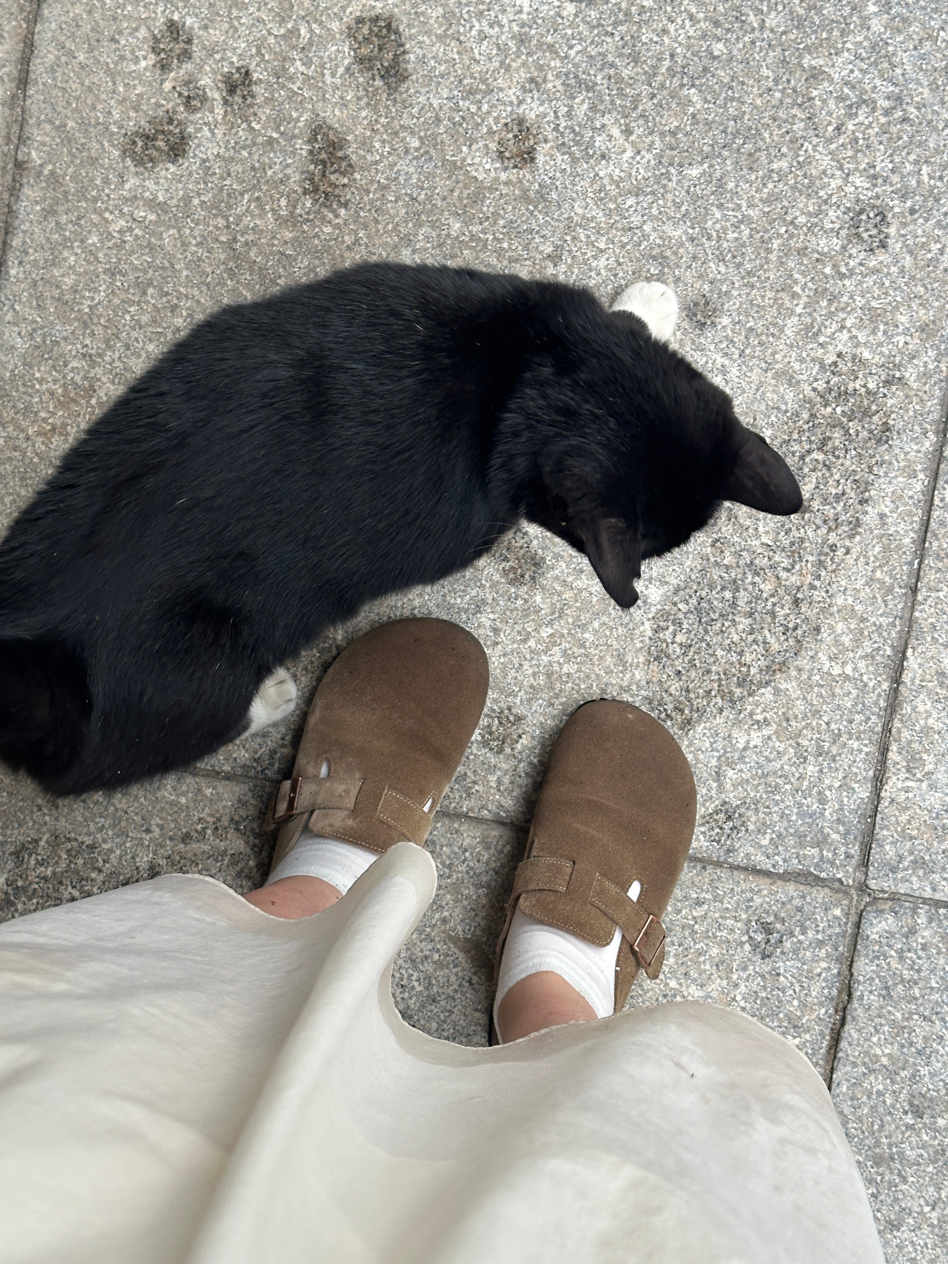 一场雨🌧️把我困在这里～你冷漠的表情后面忘了 ​​​