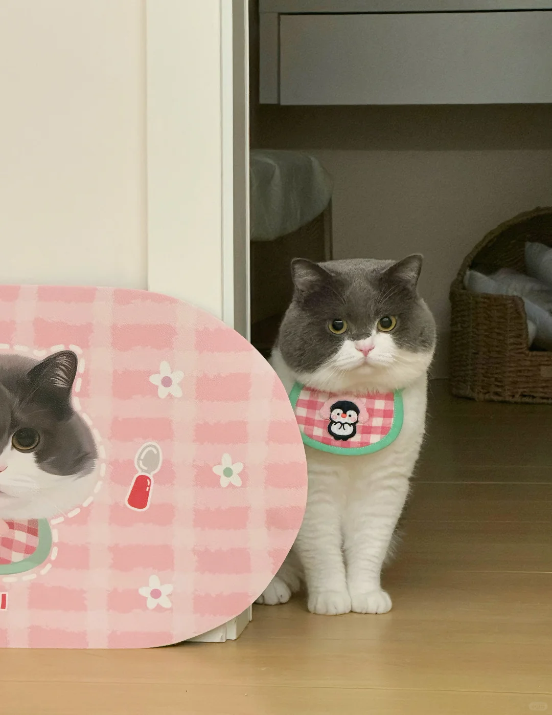 发呆野猪