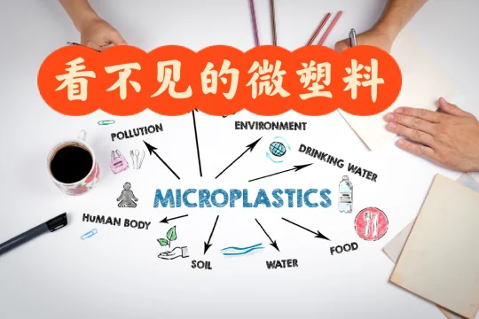 看不见的微塑料，看得见的影响