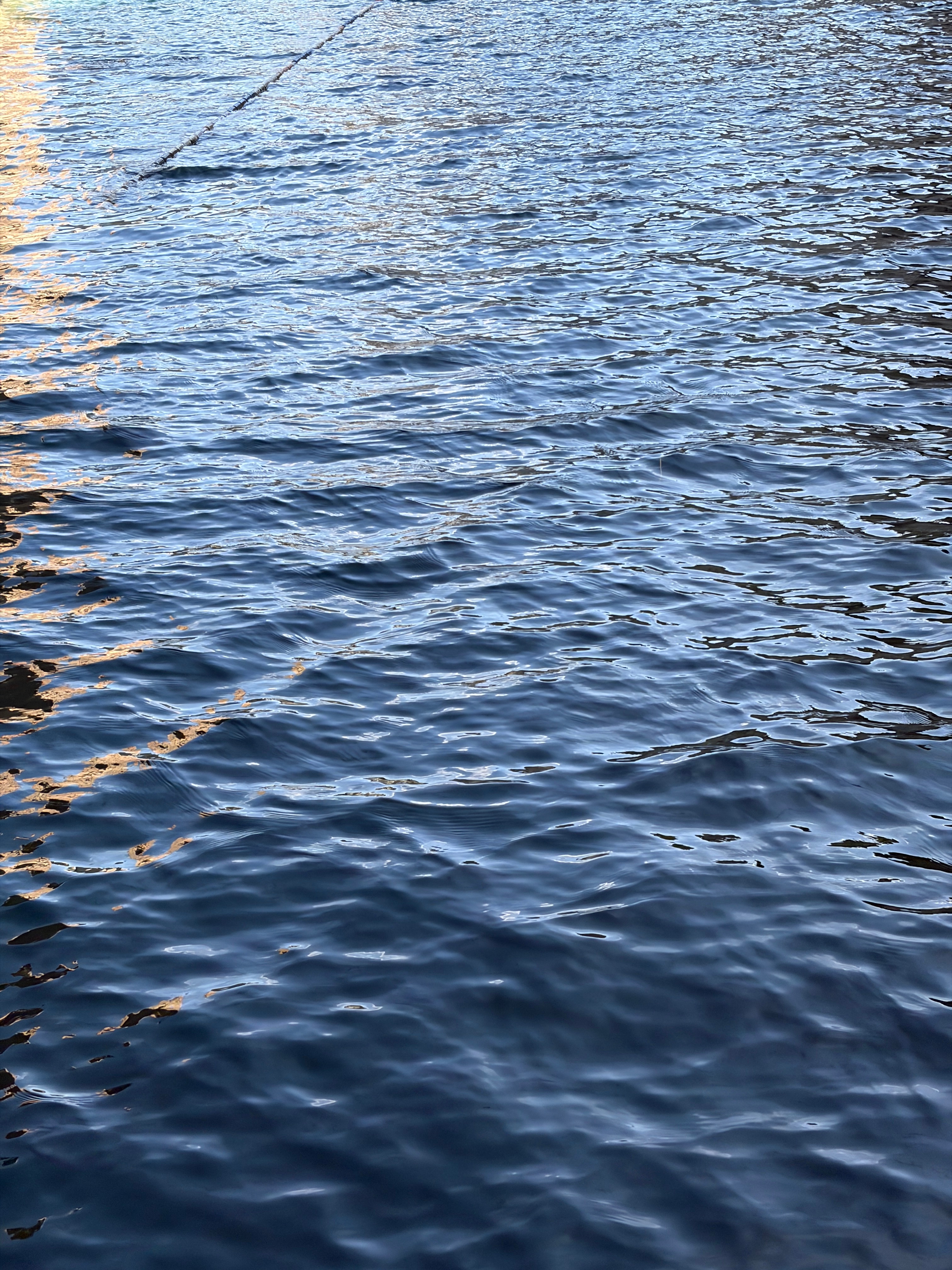 今天体验潜水[努力] 你们会潜水么 ​​​