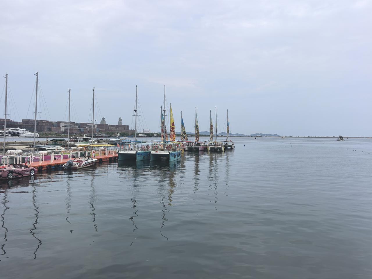 夏日生活打卡季